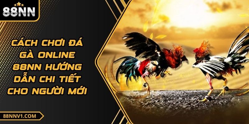 Cách Chơi Đá Gà Online 88NN Hướng Dẫn Chi Tiết Cho Người Mới