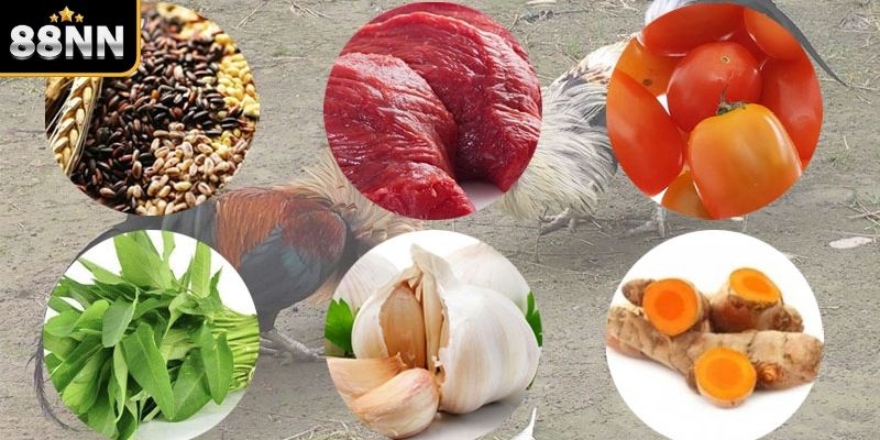 Cách nuôi gà đá chân mạnh chế độ tập luyện Cách nuôi gà đá chân mạnh chế độ tập luyện