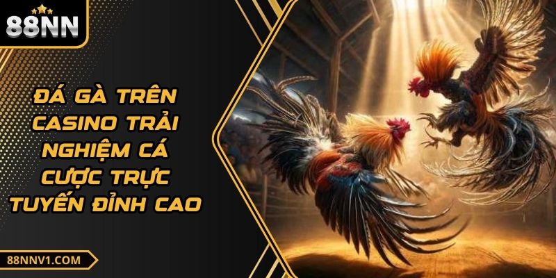 Đá Gà Trên Casino Trải Nghiệm Cá Cược Trực Tuyến Đỉnh Cao