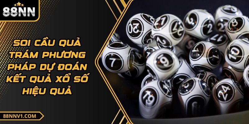 Soi Cầu Quả Trám Phương Pháp Dự Đoán Kết Quả Xổ Số Hiệu Quả