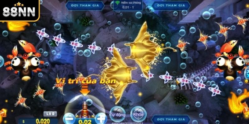 Tiền long đánh cá là gì? Tiền long đánh cá là gì?